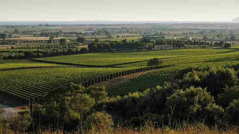 Maremma - Landscape near Capalbio, Tuscany, tags: della - CC BY-SA